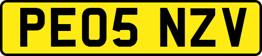 PE05NZV