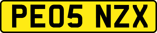 PE05NZX