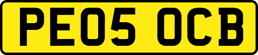 PE05OCB