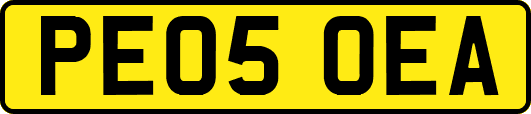 PE05OEA
