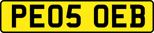PE05OEB