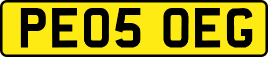 PE05OEG