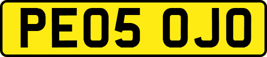 PE05OJO