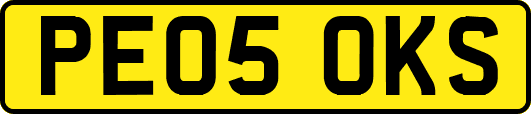 PE05OKS