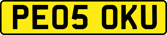PE05OKU