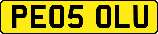 PE05OLU