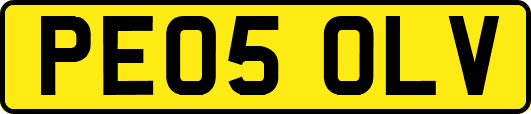 PE05OLV