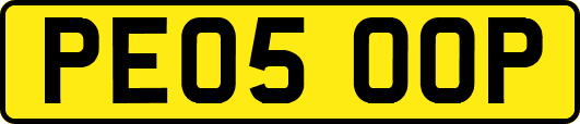 PE05OOP