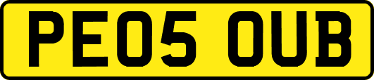 PE05OUB