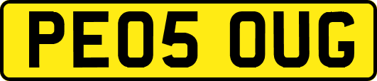PE05OUG