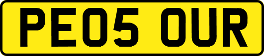 PE05OUR