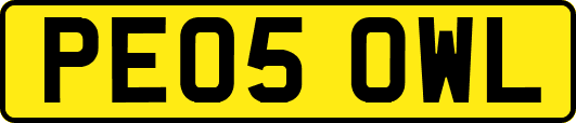 PE05OWL