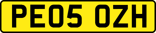 PE05OZH