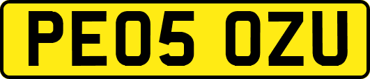 PE05OZU