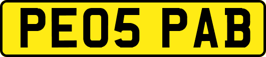 PE05PAB