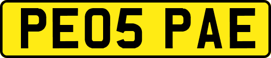 PE05PAE