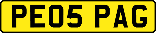 PE05PAG