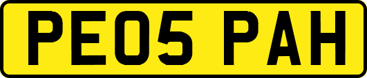 PE05PAH