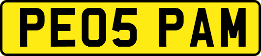 PE05PAM