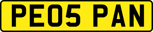 PE05PAN