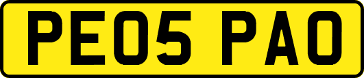 PE05PAO