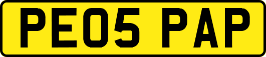 PE05PAP