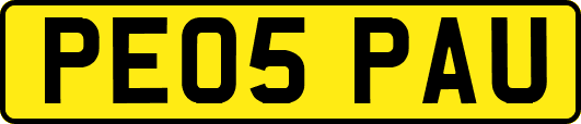 PE05PAU