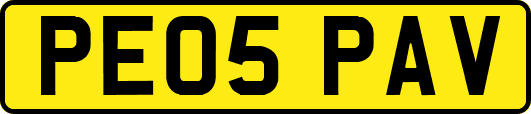PE05PAV