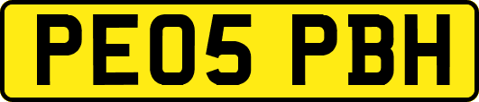 PE05PBH
