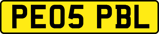 PE05PBL