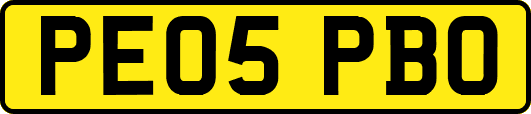 PE05PBO