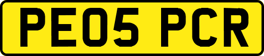 PE05PCR