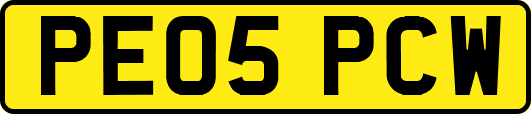 PE05PCW