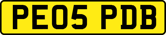 PE05PDB