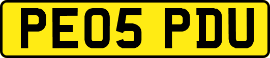 PE05PDU