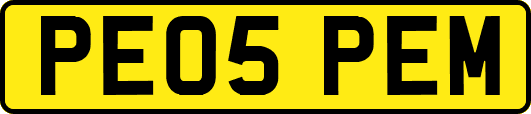 PE05PEM