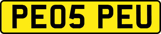PE05PEU