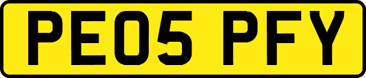 PE05PFY