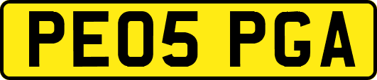 PE05PGA