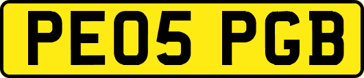 PE05PGB