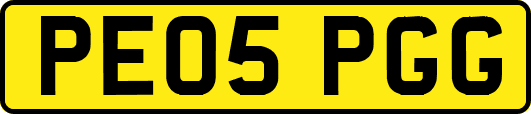 PE05PGG