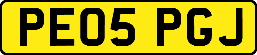 PE05PGJ