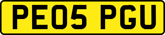 PE05PGU