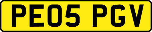 PE05PGV