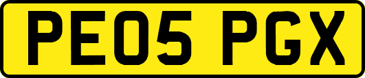 PE05PGX