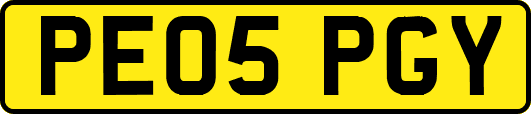 PE05PGY
