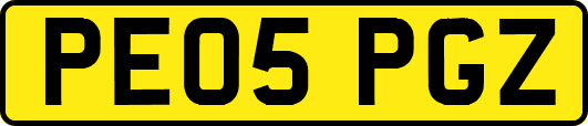 PE05PGZ