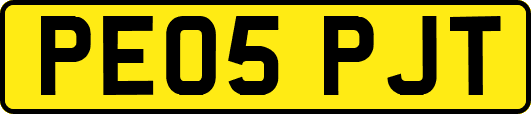 PE05PJT