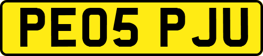PE05PJU