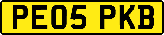 PE05PKB